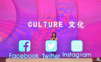 融合與碰撞 網(wǎng)絡(luò)文化傳播的深度變革之旅